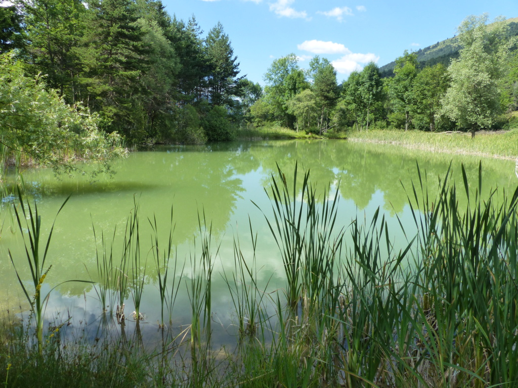 etang - Balade à Chichilianne: étang de Reymondin P1380334