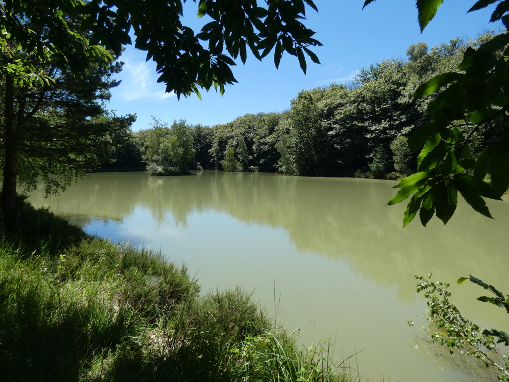 Etang le grand bois, rando P1410415