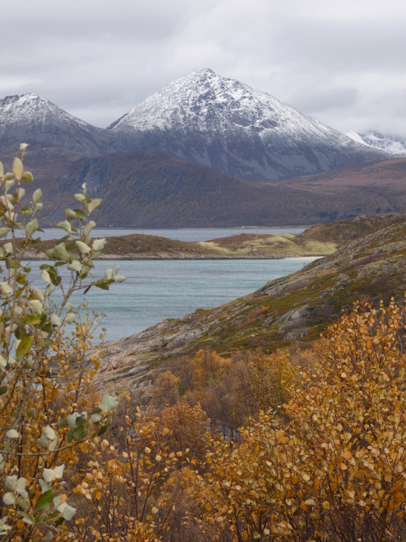 NORVEGE Octobre, VERS TROMSO P1450012