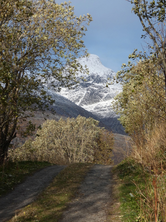 NORVEGE Octobre, VERS TROMSO P1450218