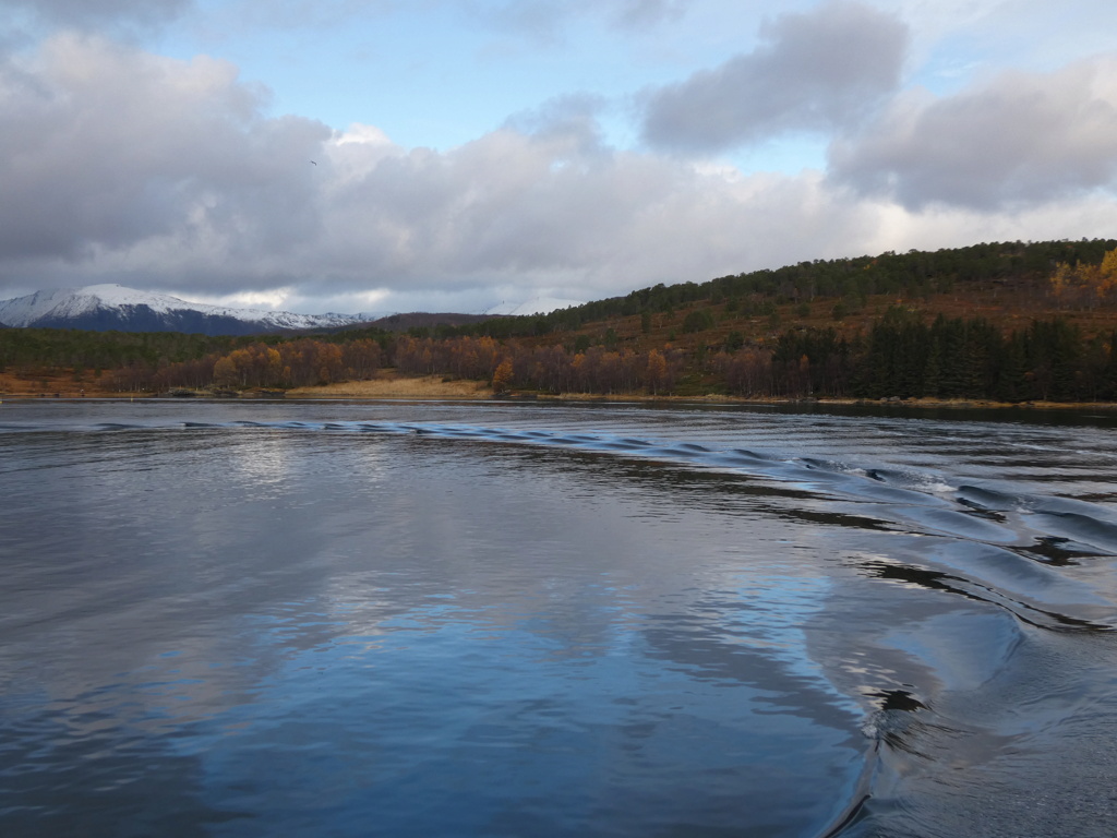 NORVEGE Octobre, VERS TROMSO P1450413