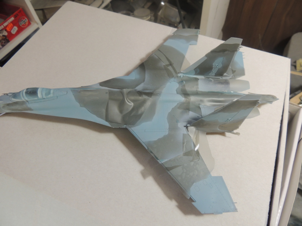 [GWH ]Su-35S "Flanker-E" - terminé - Page 2 Dscn9425