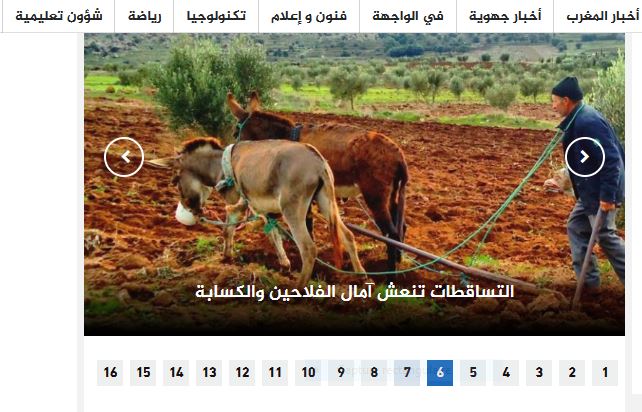 La deconnexion culturelle rend le Maroc victime de ses transnationals Fellah11