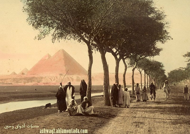صور رائعه ونادرة لمصر من منتصف القرن التاسع عشر 0512