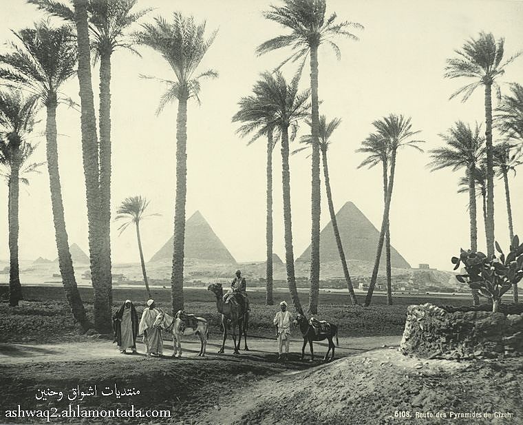 صور رائعه ونادرة لمصر من منتصف القرن التاسع عشر 0713