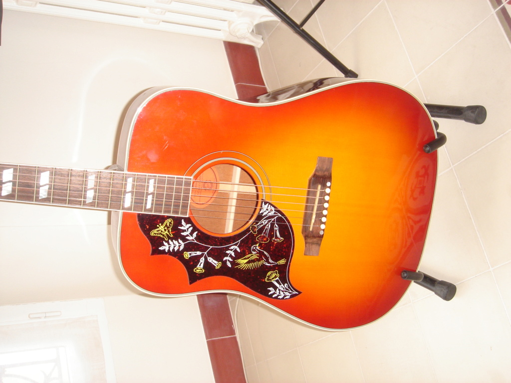 Gibson Hummingbird Dsc02511