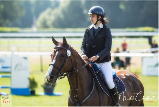 VOLCAN DE VAYRIE - SELLE FRANÇAIS - ♂ (prix à vérifier) Captur13