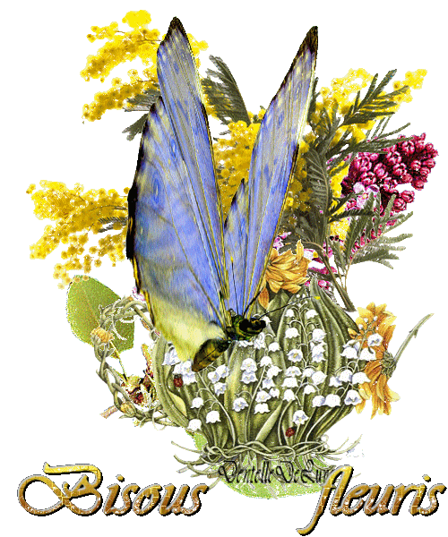 MERCREDI 15 MAI 2019 C9f15e10
