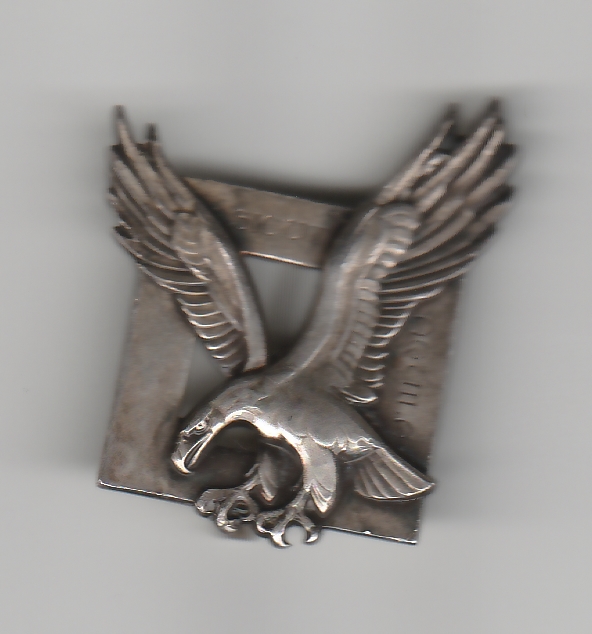 Insigne de  Poitine Fusilliers-Commandos Air en Argent A_69011