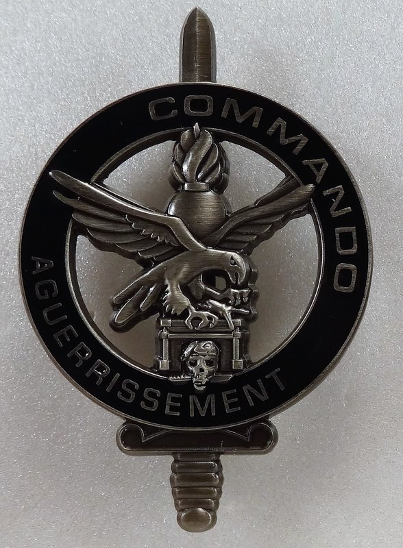 Votre avis sur ce "brevet" Commando Aguerrissement Gie10