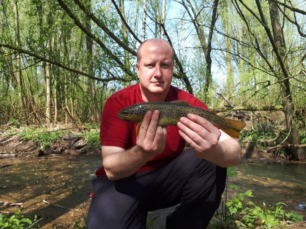 Wigan Brook 20190412