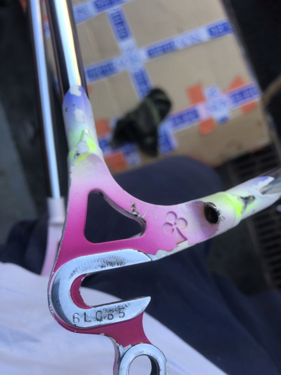Colnago Olympic Master - Pour faire un heureux Img_1313
