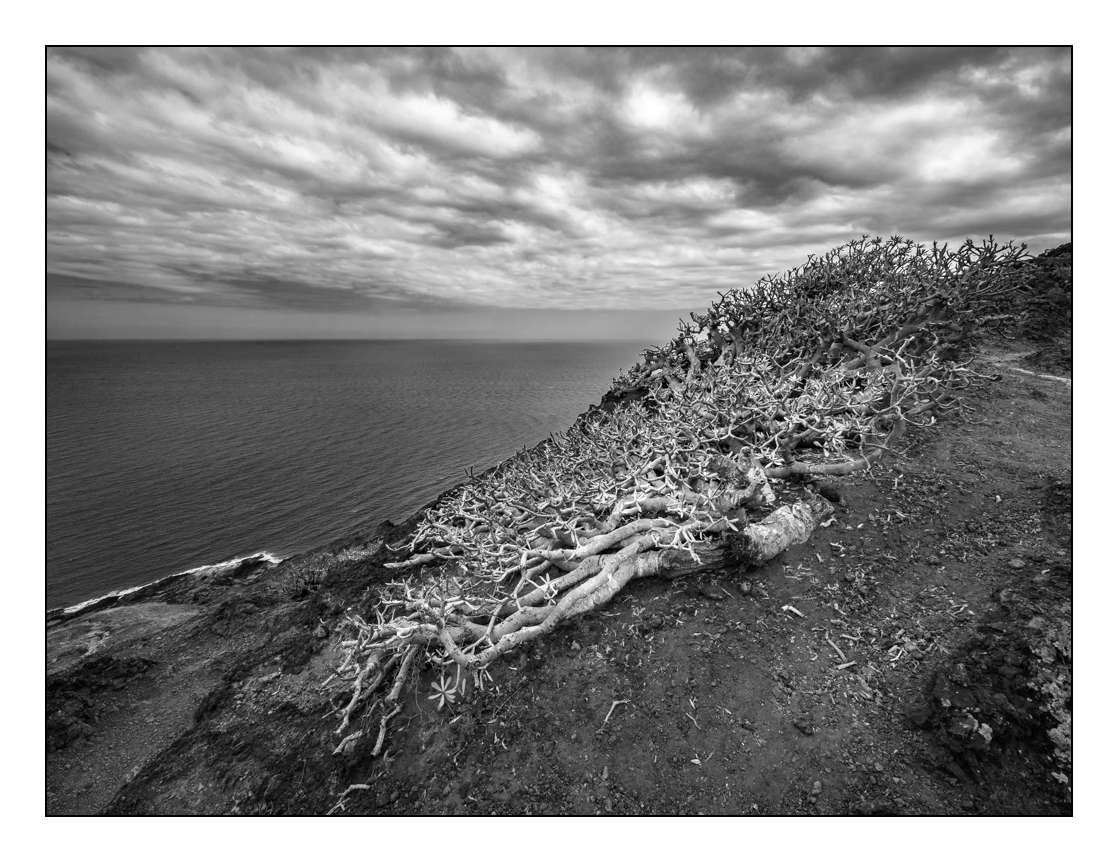 Les verodes de la montana Roja _1005810