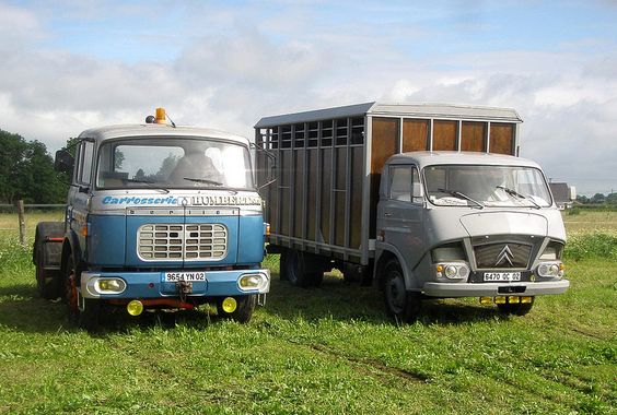 Le transport des animaux....tous à vos bétaillères ! - Page 6 91c73f10