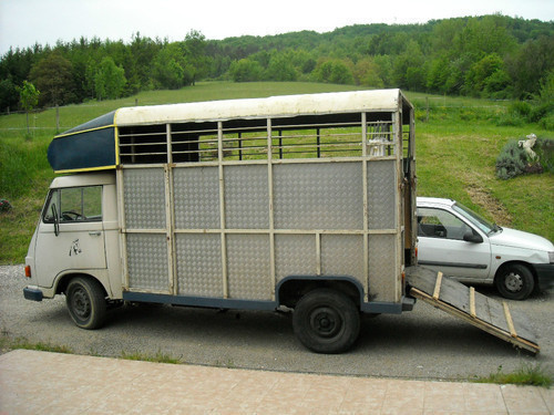 Le transport des animaux....tous à vos bétaillères ! Annonc10