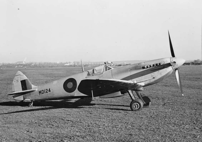 Spitfire Mk VII HF - Eduard 1/48 9d64a910