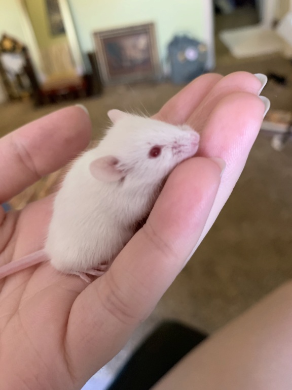 Hi! I’m new B69a4b10
