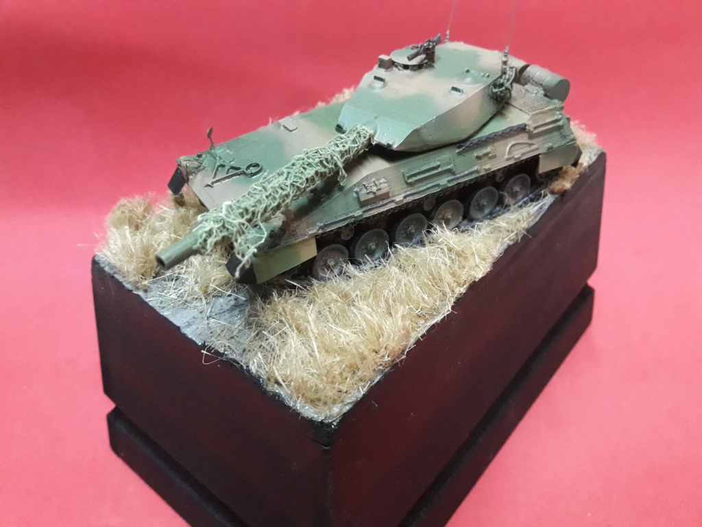 MT: TAM Ejército Argentino - Tactical Models 1/72 20220815