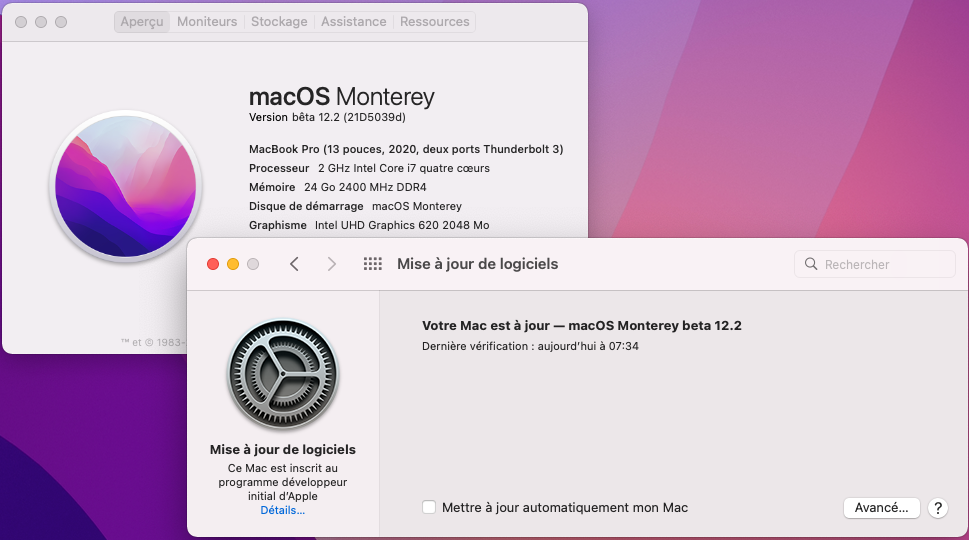 macOS Monterey 12.0 / 12.1 / 12.2  Beta - Page 11 Captur38