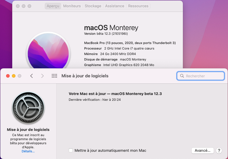macOS Monterey 12.0 / 12.1 / 12.2 / 12.3 / 12.4 / 12.5  Beta - Page 11 Captur39