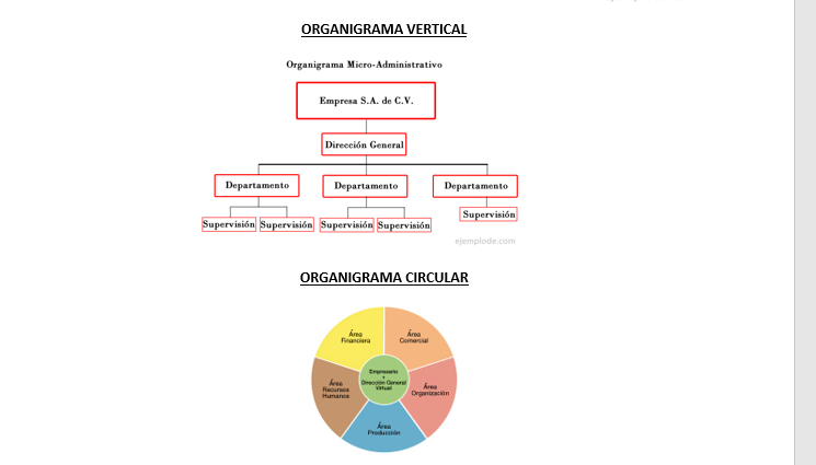 ESTRUCTURA FORMAL. ORGANIGRAMA Ora_210