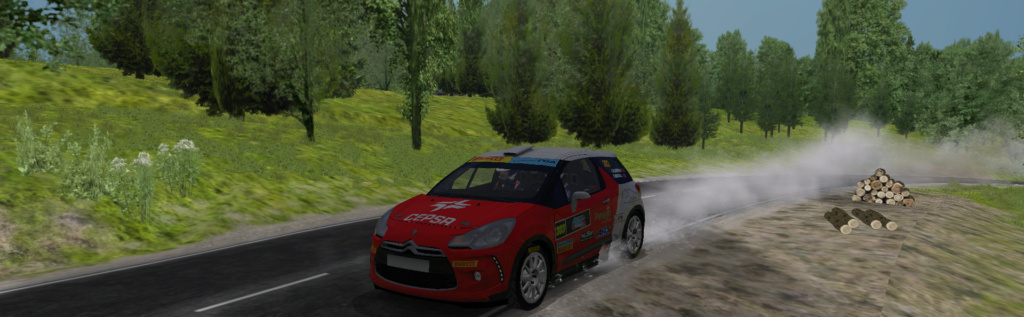 J.M.ROMERA/R.ROMERA - CITROEN DS3 R1 (VOLANTE FGA) Richar12