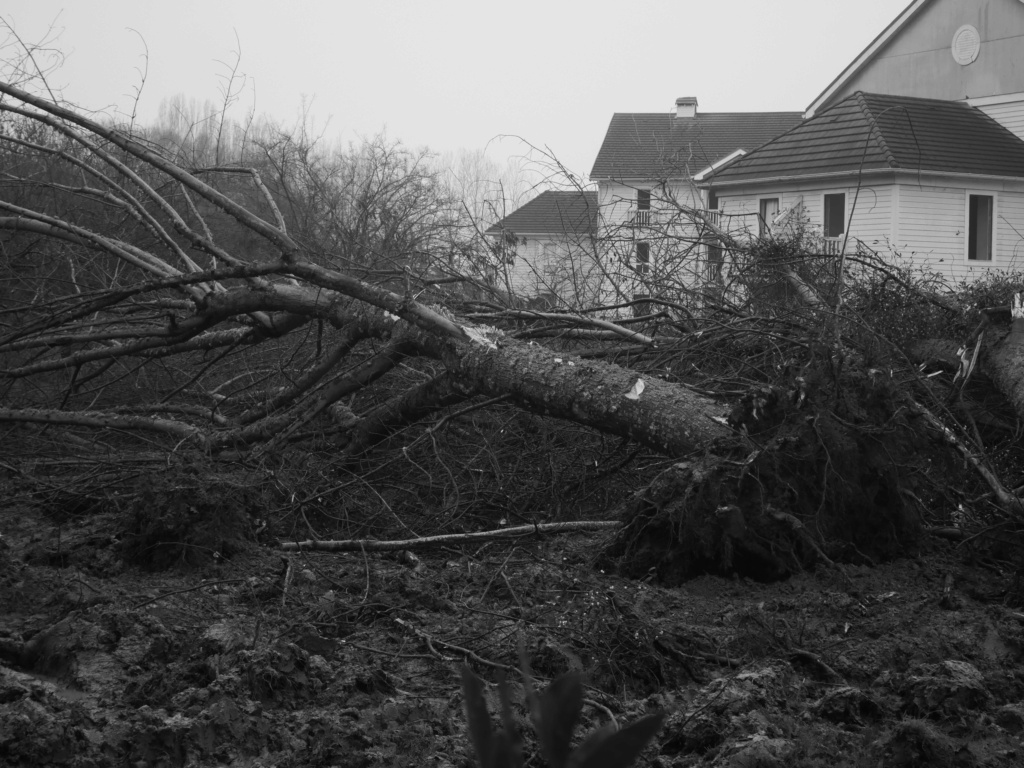 Destruction de la résidence les Pléiades P1034711