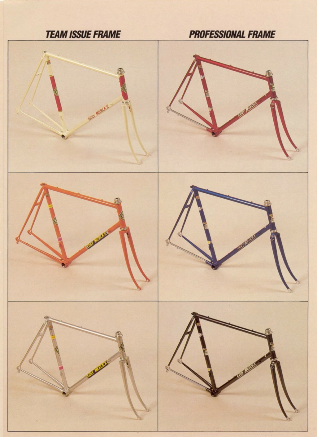 Team issue Merckx 1985 Team_b11
