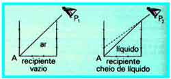 Dioptro Plano (FESP-PE) Diopla10