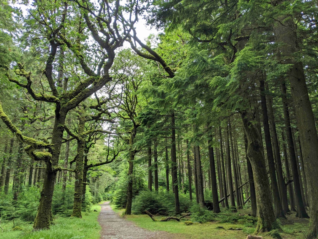 Carnet de voyage en Irlande: étapes, itinéraire, visites road trip Pxl_2049