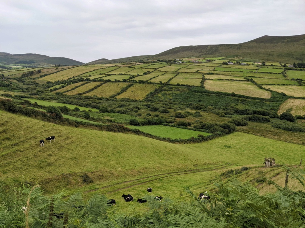 Carnet de voyage en Irlande: étapes, itinéraire, visites road trip Pxl_2068