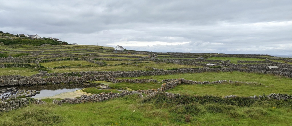 Carnet de voyage en Irlande du sud: étapes, itinéraire, visites road trip Pxl_2161