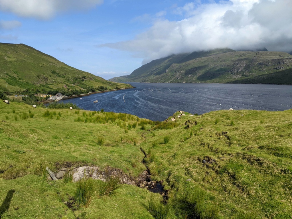 Carnet de voyage en Irlande: étapes, itinéraire, visites road trip Pxl_2216
