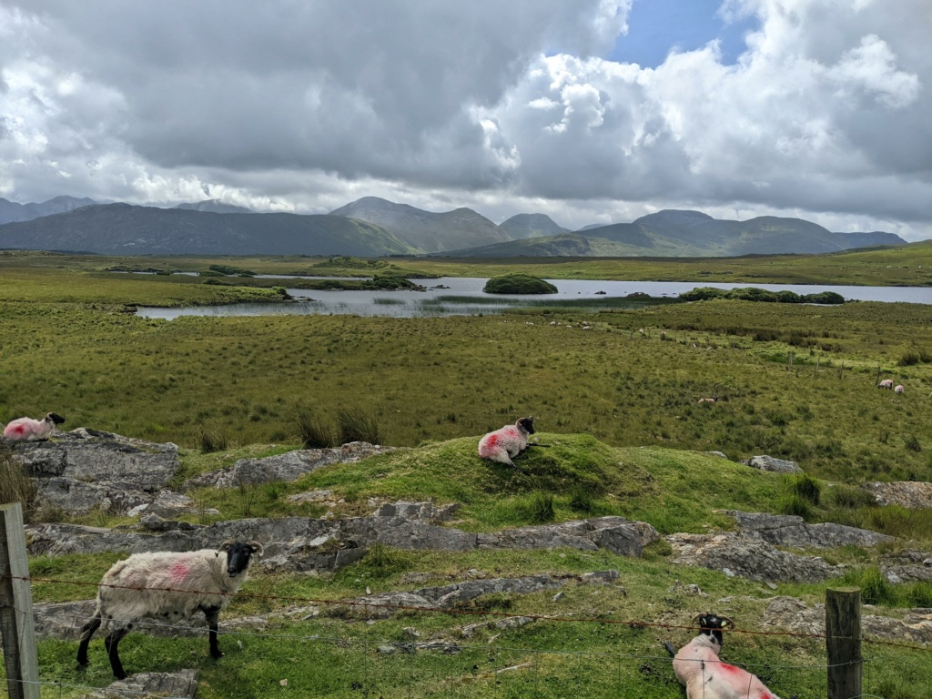Carnet de voyage en Irlande: étapes, itinéraire, visites road trip Pxl_2224