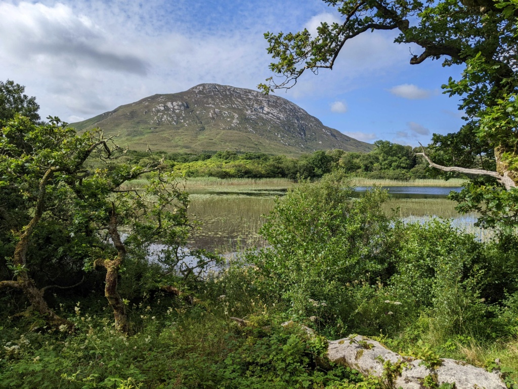 Carnet de voyage en Irlande: étapes, itinéraire, visites road trip Pxl_2233