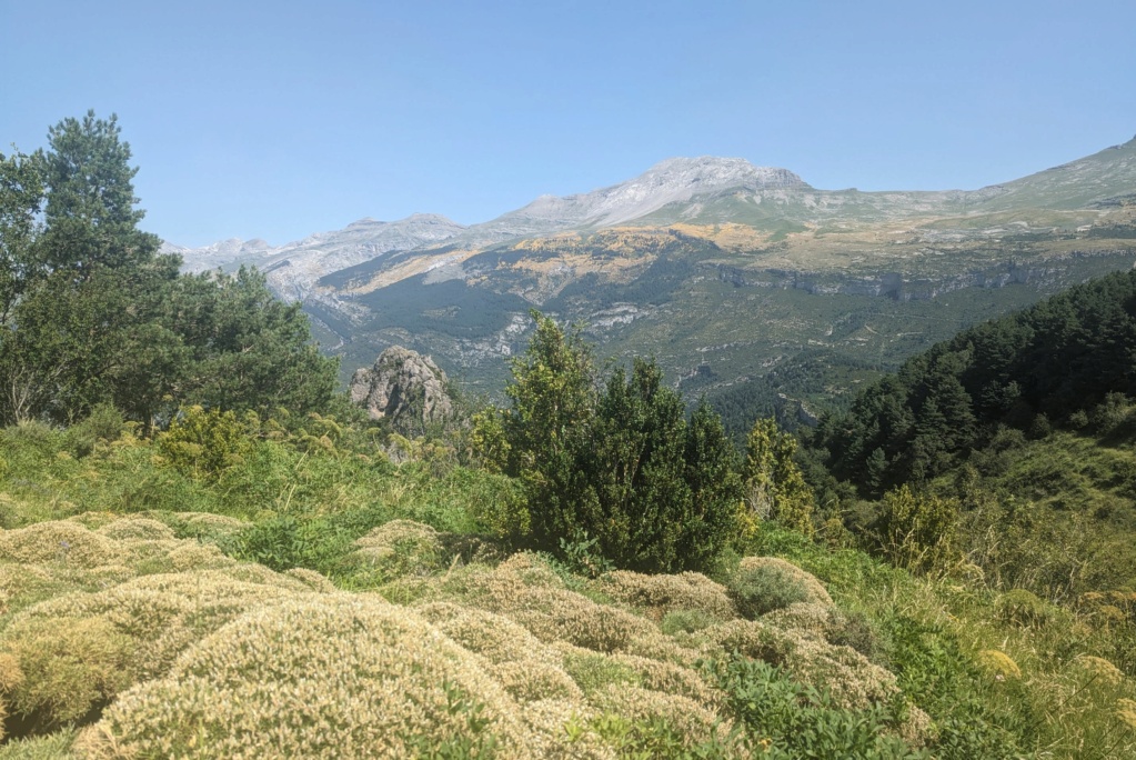 Espagne: découvrir les Pyrénées espagnoles et le Somontano Pxl_2282