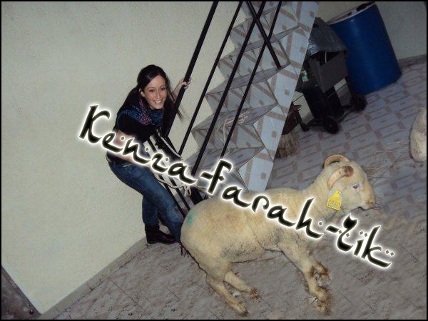 [PHOTOS] Kenza et son mouton Tobi Kenza_12