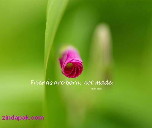 ~Friendship Wallpapers~ - Page 2 -frien10