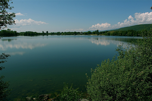 Lac Divonne les Bains 01 24995411
