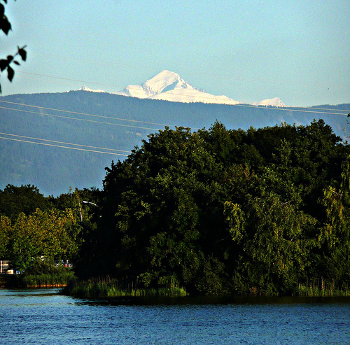 Lac Divonne les Bains 01 28121011